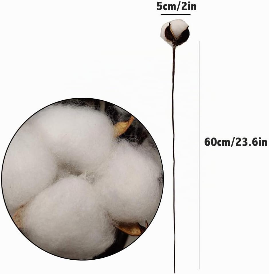 Lot de 30 Boules de Coton séchées en Coton Blanc avec bâton 60cm - Parfait pour Les couronnes, décoration de Maison de Campagne