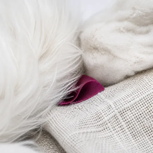 Quand le coton de Tuléar inspire le coton et le lin : textures, poils et robes au service de la création textile haut de gamme